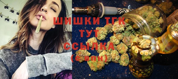 прущие грибы Зеленодольск