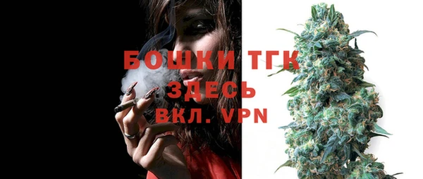 прущие грибы Зеленодольск
