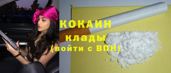прущие грибы Зеленодольск