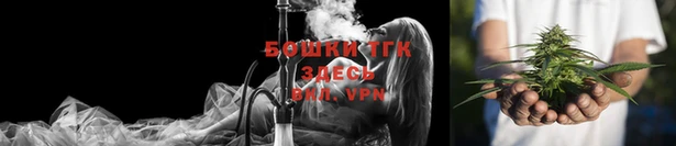 прущие грибы Зеленодольск