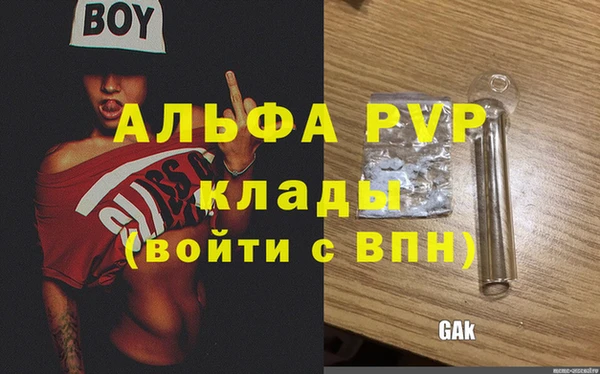 прущие грибы Зеленодольск