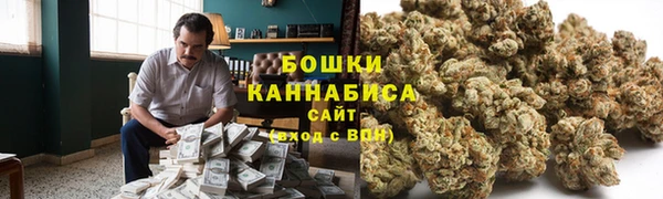 прущие крисы Калининец