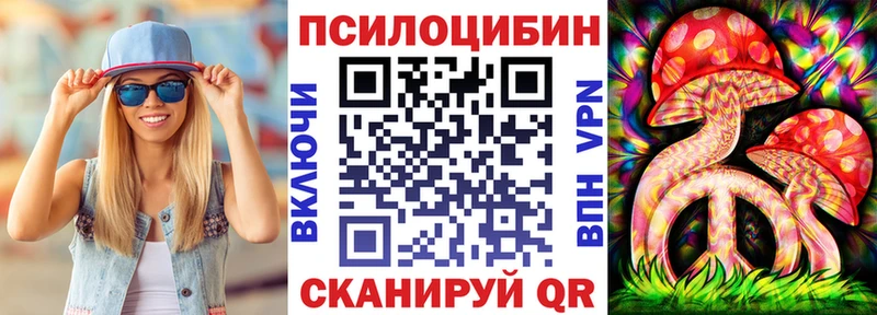 сколько стоит  Кинель  Псилоцибиновые грибы мицелий 
