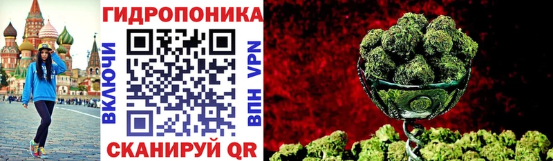 Канабис VHQ  сколько стоит  Кинель 